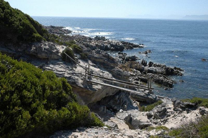 Crayfish Lodge Sea & Country Guest House Gansbaai Kültér fotó